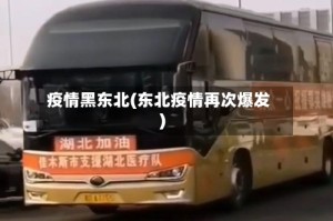 疫情黑东北(东北疫情再次爆发)