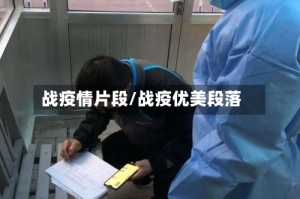 战疫情片段/战疫优美段落