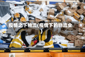 疫情之下物流(疫情下的物流业)