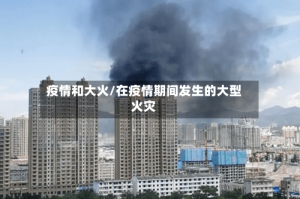 疫情和大火/在疫情期间发生的大型火灾