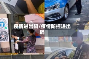 疫情进出码/疫情防控进出码