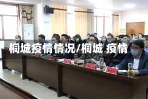 桐城疫情情况/桐城 疫情