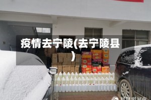 疫情去宁陵(去宁陵县)