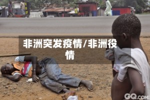 非洲突发疫情/非洲役情