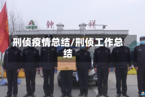 刑侦疫情总结/刑侦工作总结