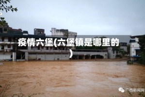 疫情六堡(六堡镇是哪里的)