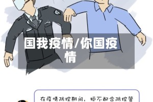 国我疫情/你国疫情