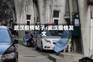武汉疫情帖子/武汉疫情发文
