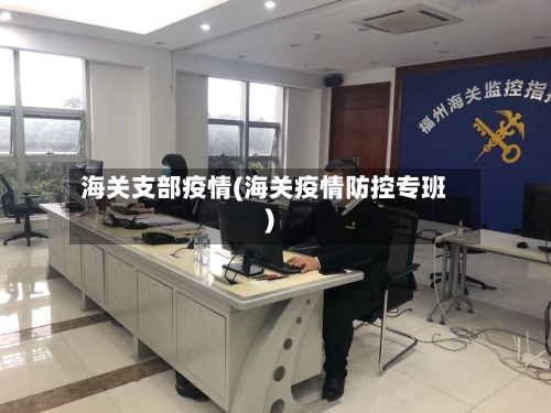 海关支部疫情(海关疫情防控专班)-第2张图片