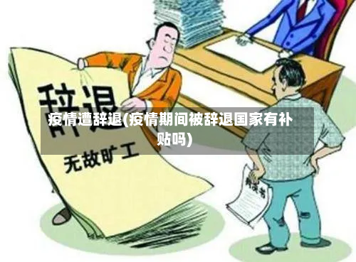 疫情遭辞退(疫情期间被辞退国家有补贴吗)-第2张图片