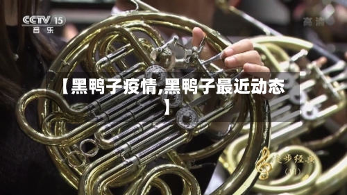 【黑鸭子疫情,黑鸭子最近动态】-第1张图片