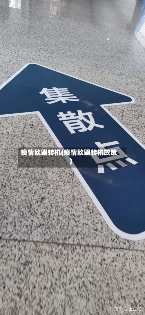 疫情欧盟转机(疫情欧盟转机政策)-第3张图片