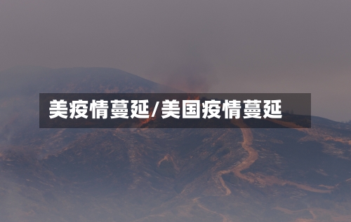 美疫情蔓延/美国疫情蔓延-第1张图片