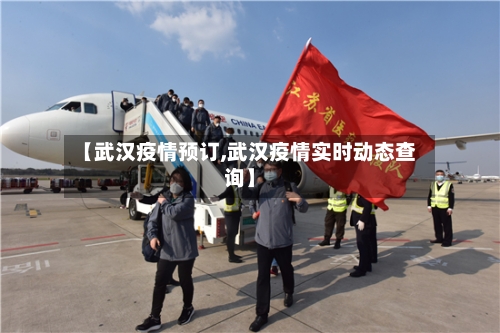 【武汉疫情预订,武汉疫情实时动态查询】-第1张图片