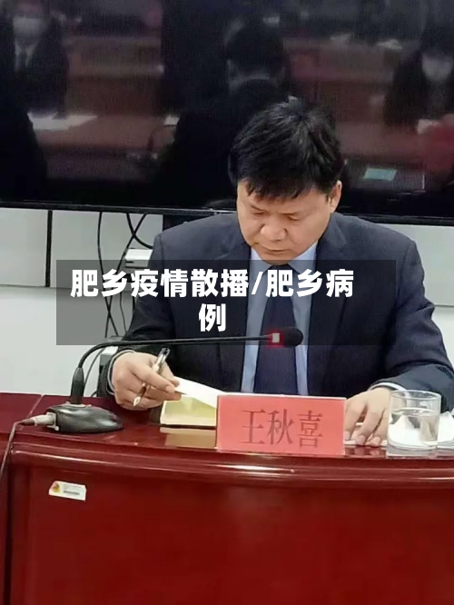 肥乡疫情散播/肥乡病例-第2张图片