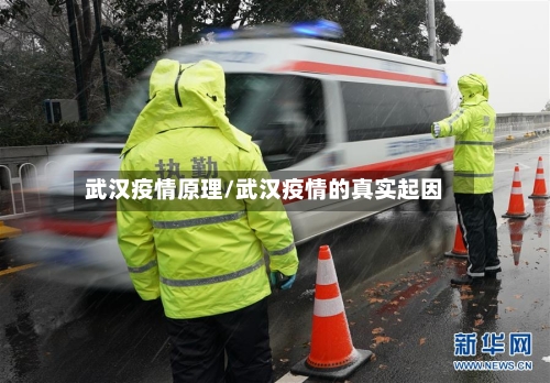 武汉疫情原理/武汉疫情的真实起因-第1张图片