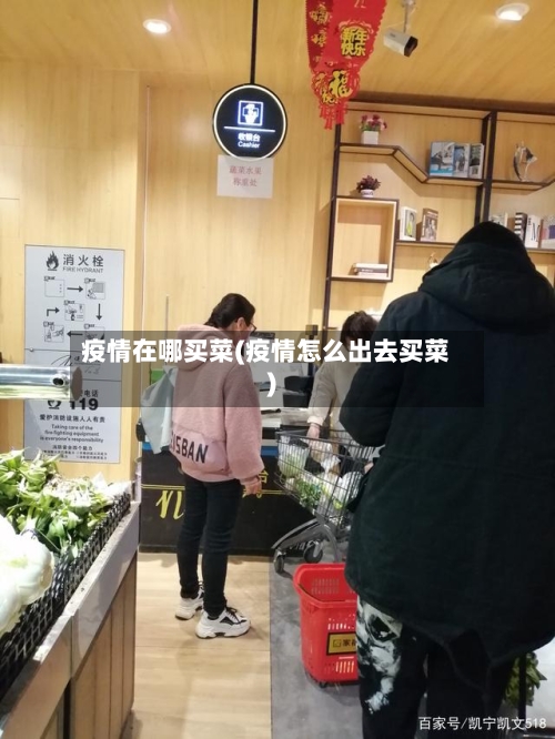 疫情在哪买菜(疫情怎么出去买菜)-第2张图片