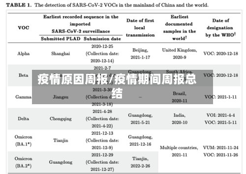 疫情原因周报/疫情期间周报总结-第1张图片