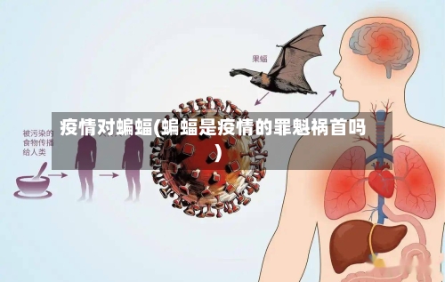 疫情对蝙蝠(蝙蝠是疫情的罪魁祸首吗)-第2张图片