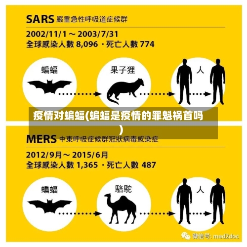 疫情对蝙蝠(蝙蝠是疫情的罪魁祸首吗)-第1张图片