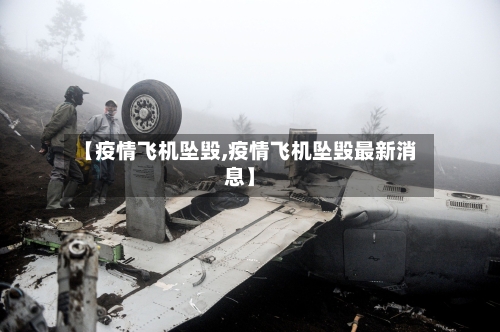 【疫情飞机坠毁,疫情飞机坠毁最新消息】-第1张图片