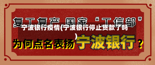 宁波银行疫情(宁波银行停止贷款了吗)-第2张图片