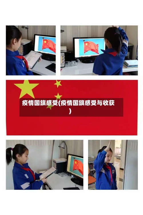 疫情国旗感受(疫情国旗感受与收获)-第3张图片