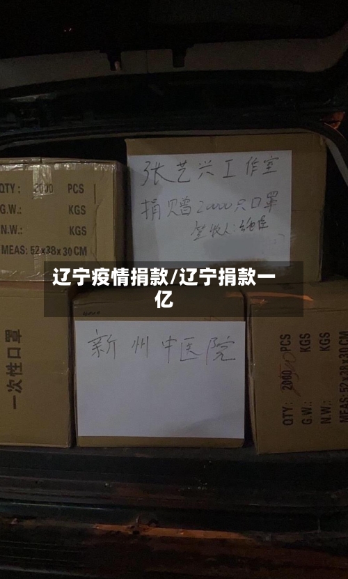 辽宁疫情捐款/辽宁捐款一亿-第1张图片