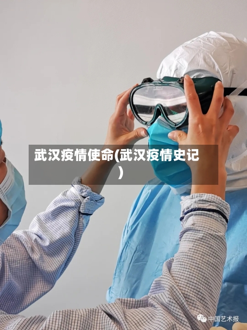 武汉疫情使命(武汉疫情史记)-第2张图片