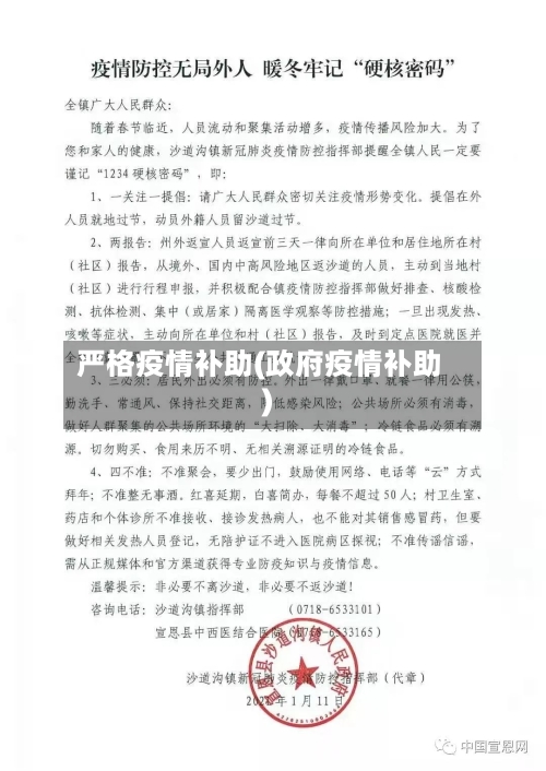 严格疫情补助(政府疫情补助)-第1张图片