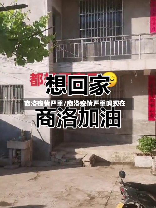 商洛疫情严重/商洛疫情严重吗现在-第2张图片