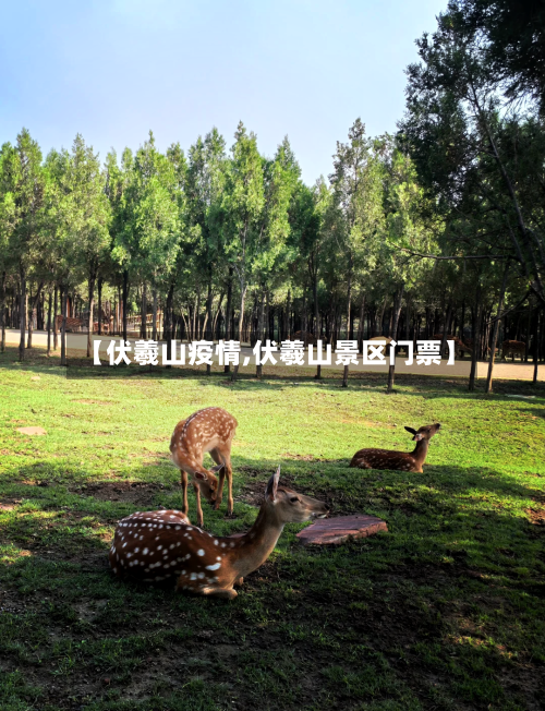 【伏羲山疫情,伏羲山景区门票】-第1张图片