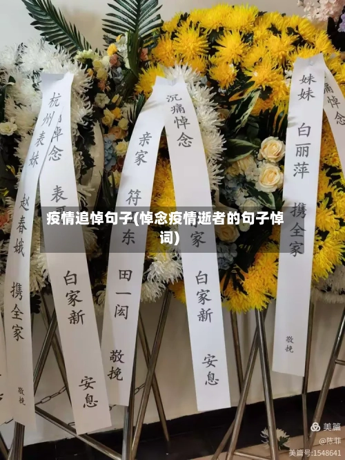 疫情追悼句子(悼念疫情逝者的句子悼词)-第2张图片