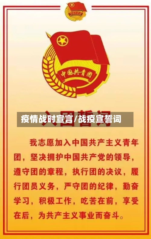 疫情战时宣言/战疫宣誓词-第2张图片