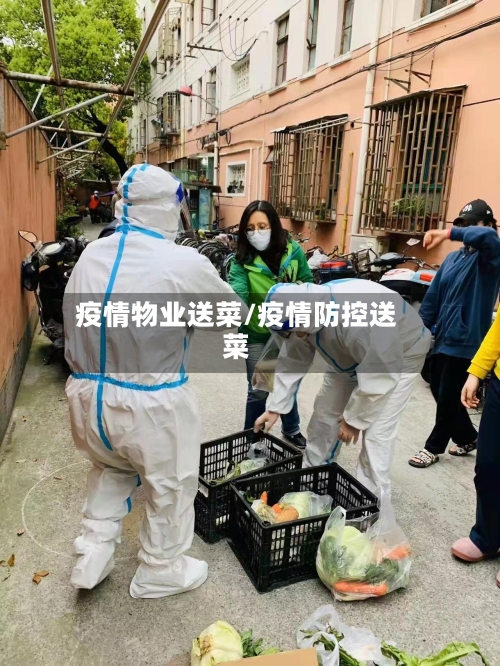 疫情物业送菜/疫情防控送菜-第1张图片