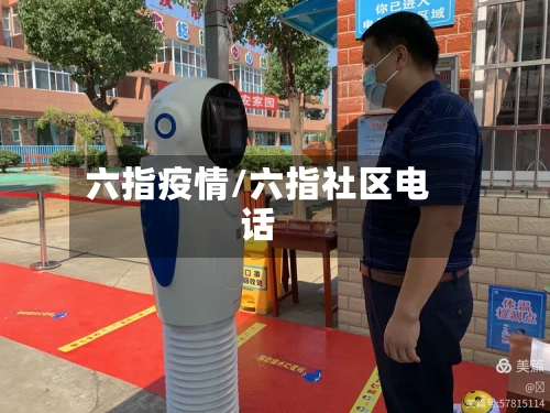 六指疫情/六指社区电话-第3张图片