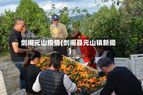 剑阁元山疫情(剑阁县元山镇新闻)-第1张图片