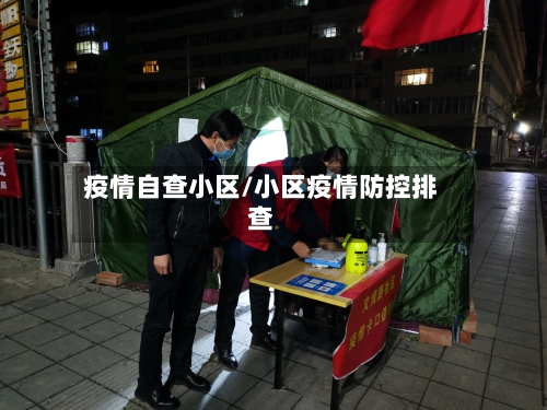疫情自查小区/小区疫情防控排查-第3张图片