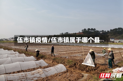 伍市镇疫情/伍市镇属于哪个县-第1张图片
