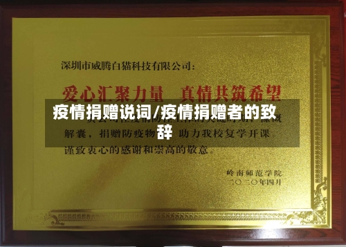 疫情捐赠说词/疫情捐赠者的致辞-第1张图片