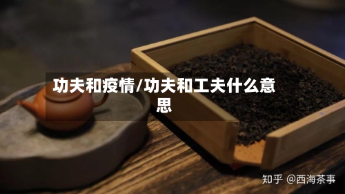 功夫和疫情/功夫和工夫什么意思-第1张图片