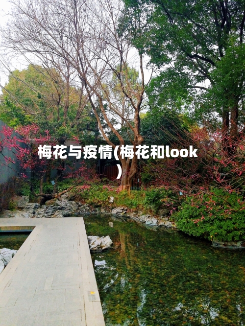 梅花与疫情(梅花和look)-第2张图片