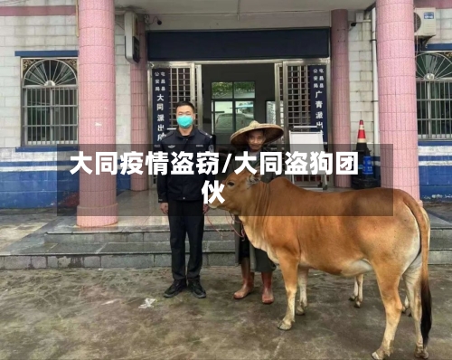 大同疫情盗窃/大同盗狗团伙-第1张图片