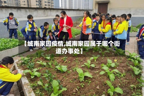 【城南家园疫情,城南家园属于哪个街道办事处】-第2张图片