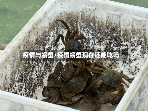疫情与螃蟹/疫情螃蟹现在还能吃吗-第1张图片