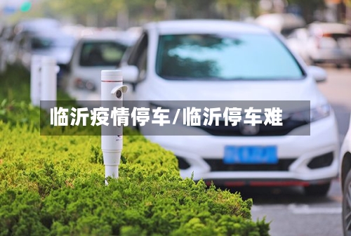 临沂疫情停车/临沂停车难-第2张图片