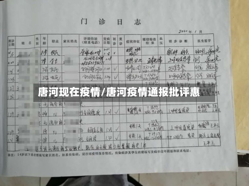 唐河现在疫情/唐河疫情通报批评惠-第1张图片