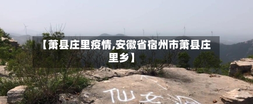 【萧县庄里疫情,安徽省宿州市萧县庄里乡】-第1张图片