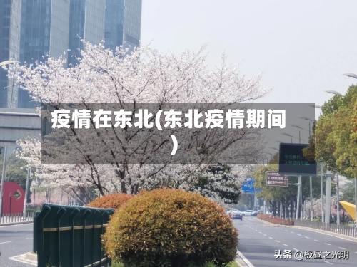 疫情在东北(东北疫情期间)-第1张图片