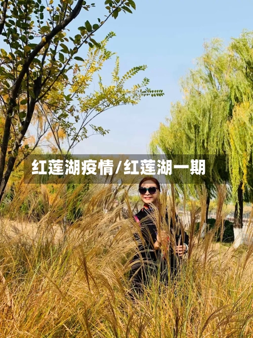 红莲湖疫情/红莲湖一期-第1张图片